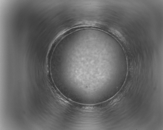 X0000071801172200607150139