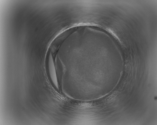 X0000071801173200607150139