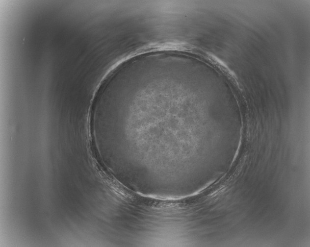 X0000071801174200607150139