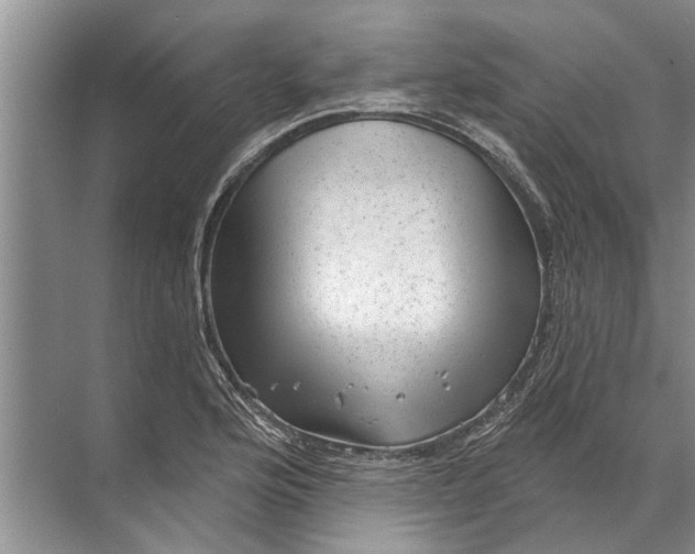 X0000071801176200607150139