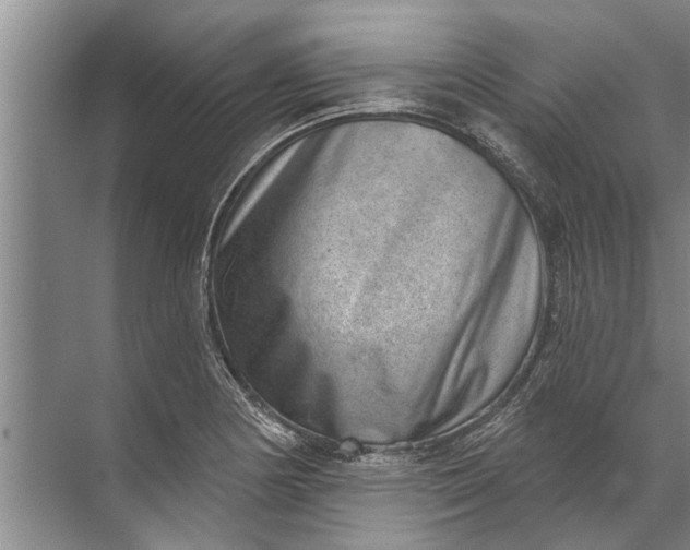 X0000071801178200607150139