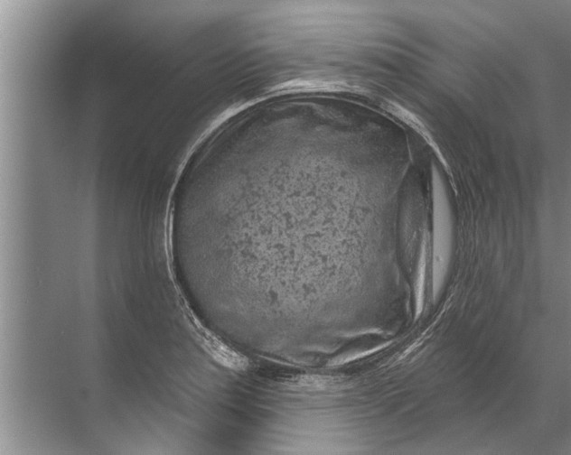 X0000071801179200607150139