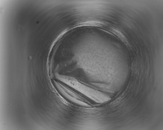 X0000071801180200607150139