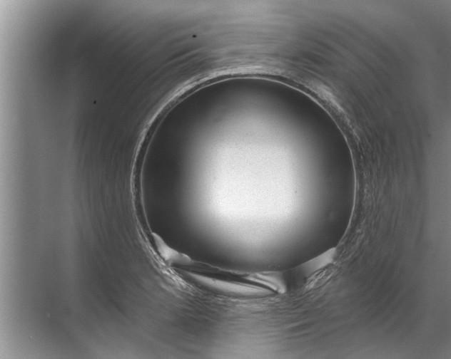 X0000071801181200607150139