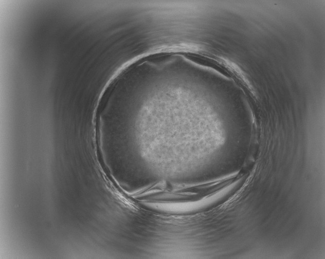 X0000071801184200607150139