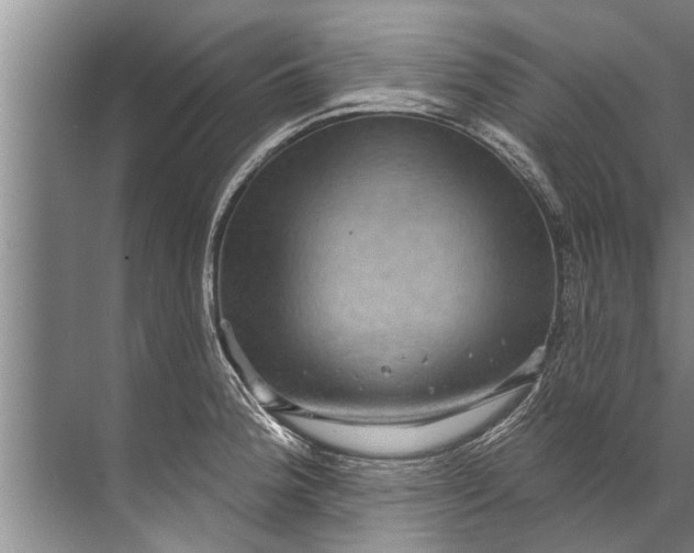 X0000071801188200607150139