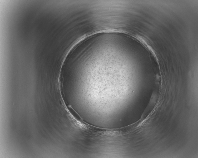 X0000071801189200607150139