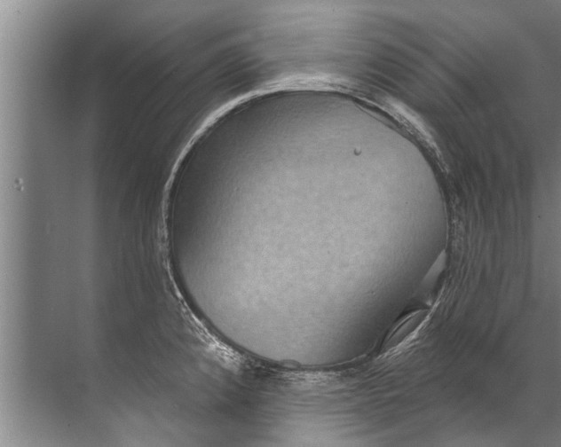 X0000071801192200607150139