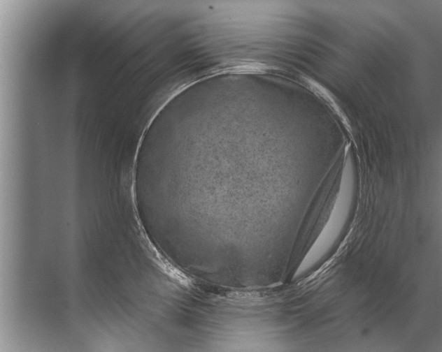 X0000071801194200607150138