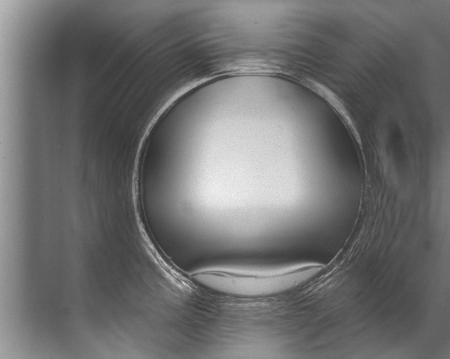 X0000071801195200607150138