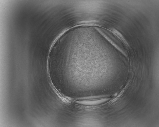 X0000071801196200607150138