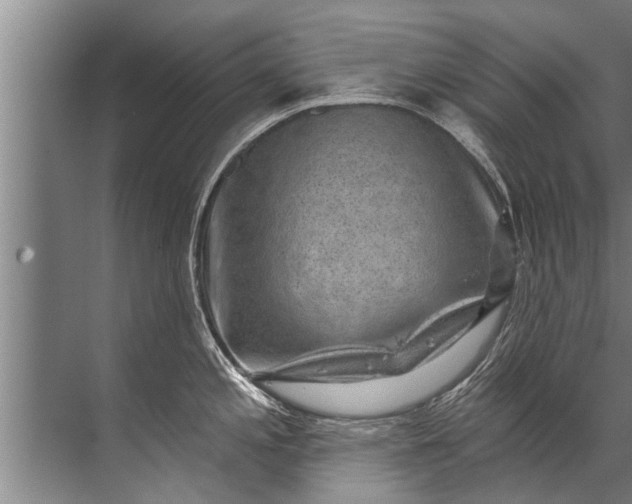 X0000071801197200607150138