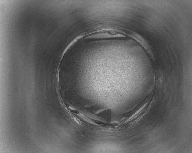 X0000071801198200607150138