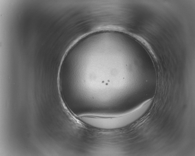 X0000071801199200607150138