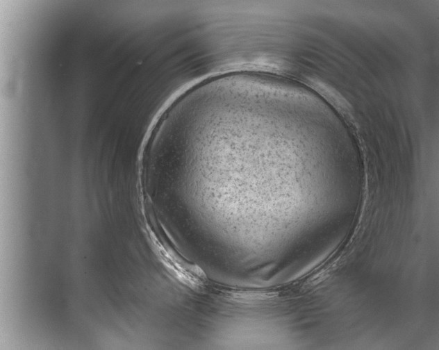 X0000071801200200607150138