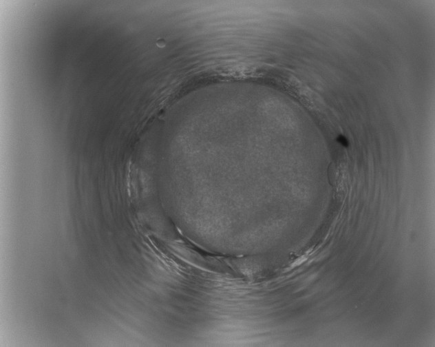 X0000071801202200607150138