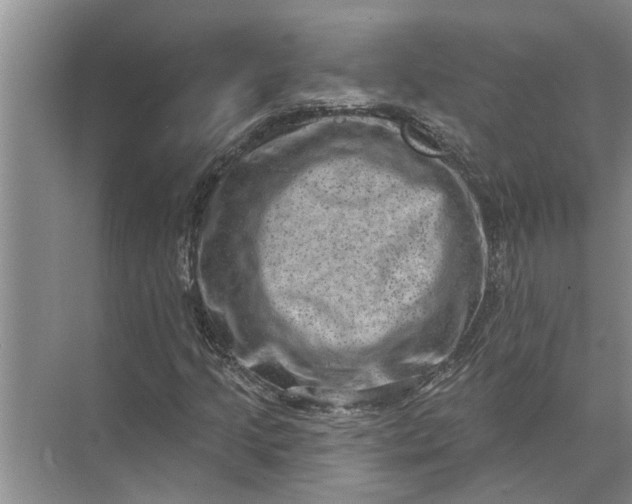 X0000071801205200607150138