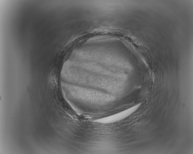 X0000071801206200607150138