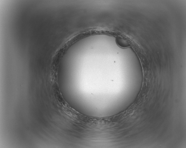 X0000071801207200607150138