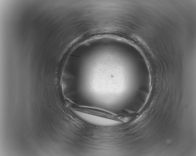 X0000071801210200607150138