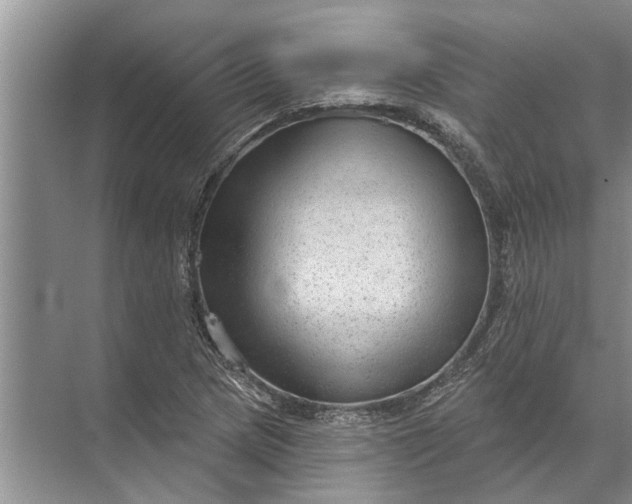 X0000071801217200607150138