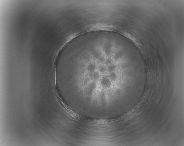 X0000071801219200607150138