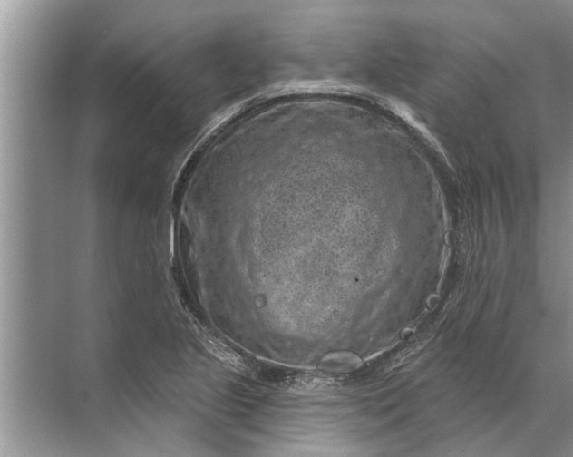 X0000071801221200607150138