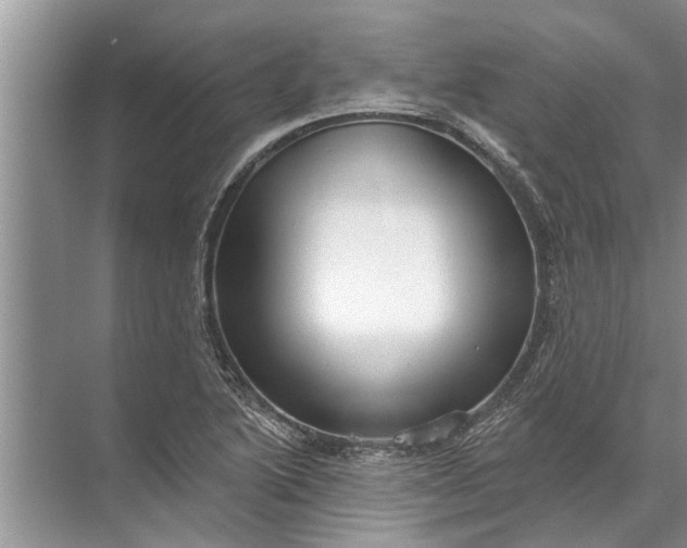 X0000071801222200607150138