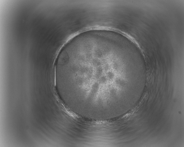 X0000071801223200607150138