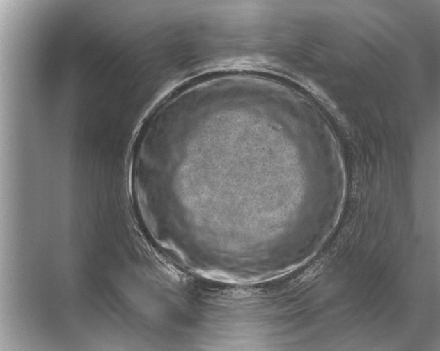 X0000071801224200607150138