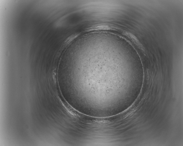 X0000071801225200607150138