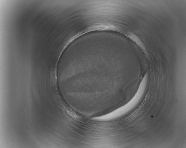 X0000071801226200607150138