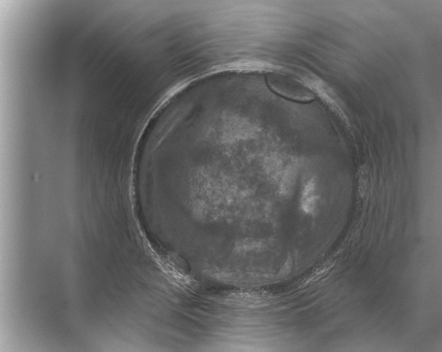 X0000071801229200607150138