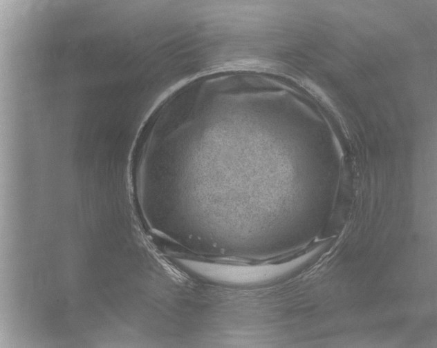 X0000071801230200607150138