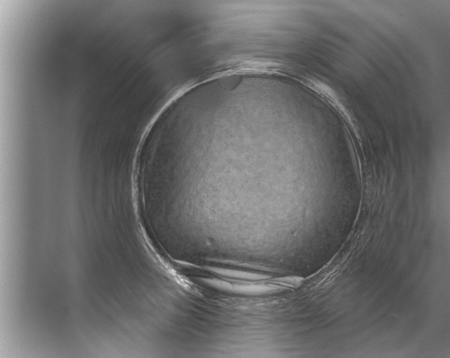 X0000071801235200607150138