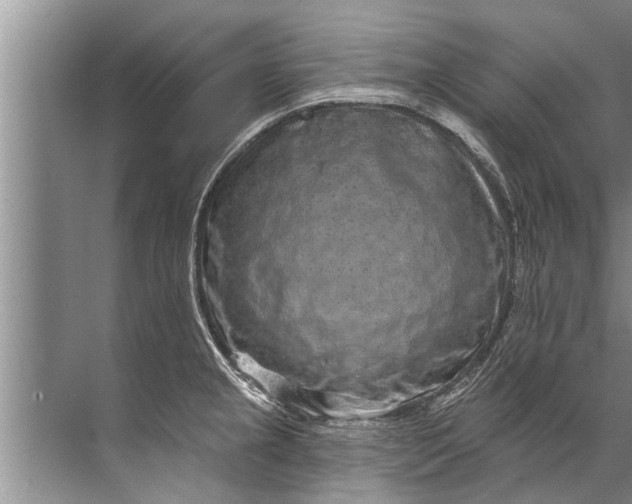 X0000071801237200607150138