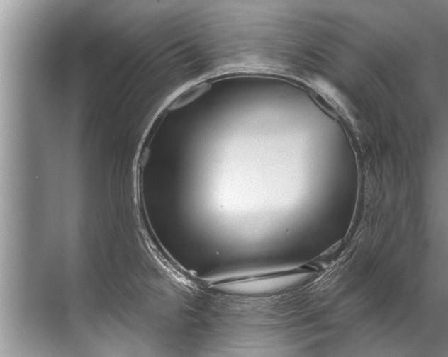 X0000071801238200607150138