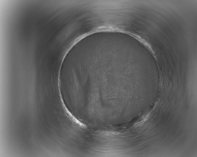 X0000071801239200607150138