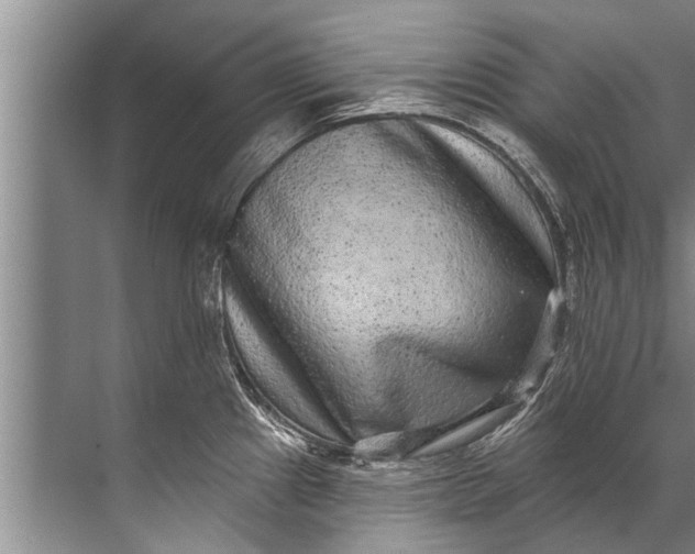 X0000071801241200607150138