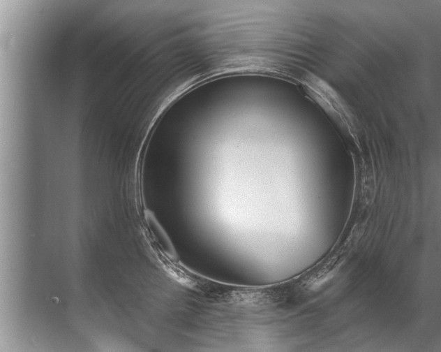 X0000071801242200607150138