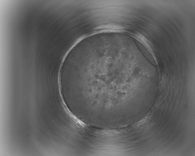 X0000071801243200607150138