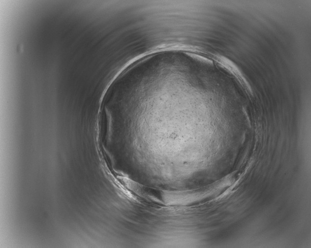 X0000071801244200607150138