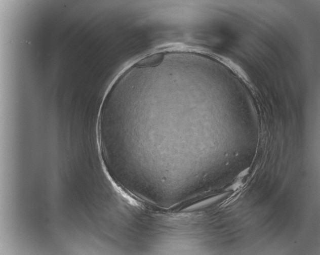 X0000071801247200607150138