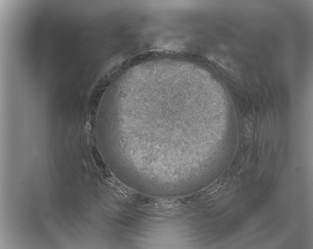 X0000071801254200607150137