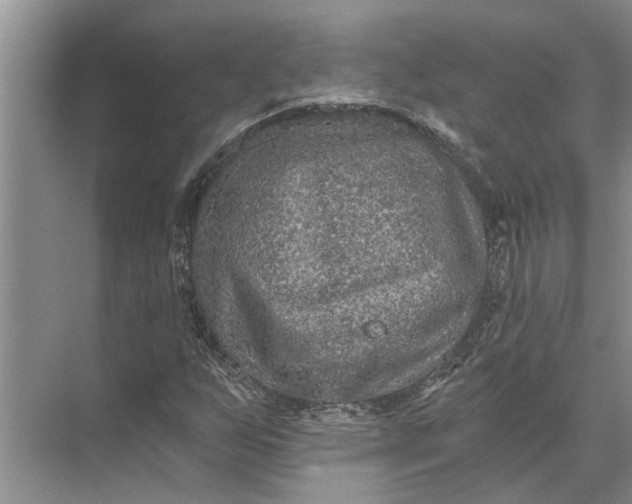 X0000071801255200607150137