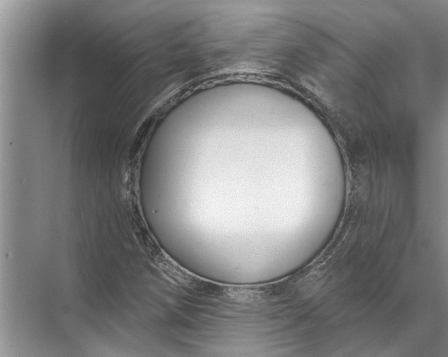 X0000071801258200607150137