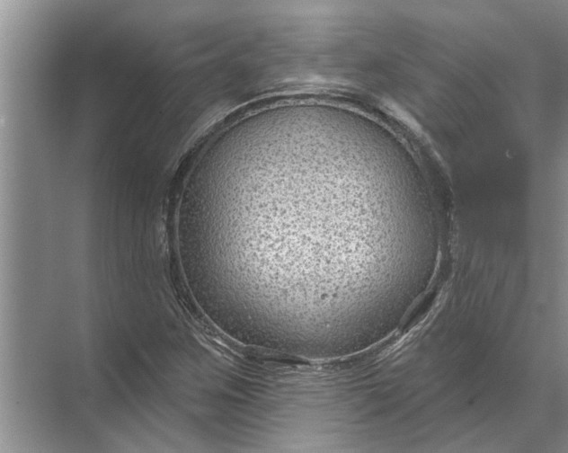 X0000071801259200607150137