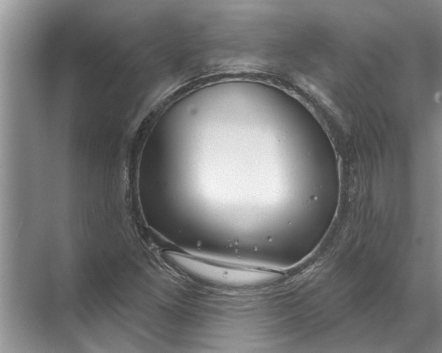 X0000071801261200607150137