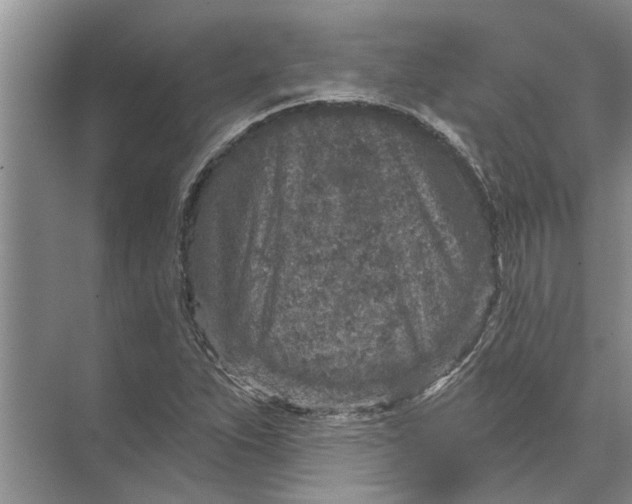 X0000071801263200607150137