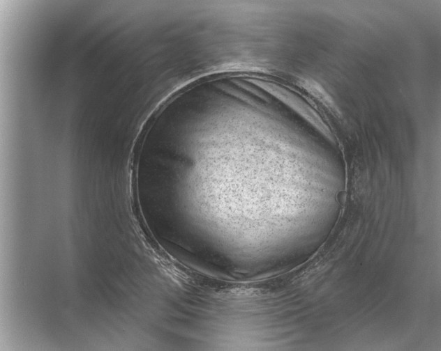 X0000071801268200607150137